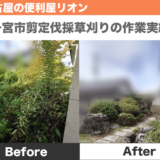 愛知県一宮市剪定、伐採、草刈りの作業実績