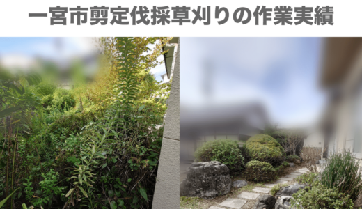 愛知県一宮市剪定、伐採、草刈りの作業実績