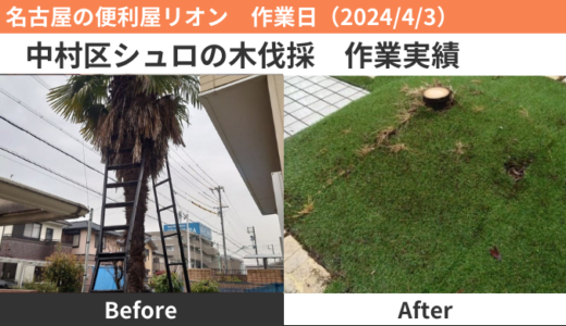 名古屋市中村区シュロの木伐採作業実績（2024/4/3）
