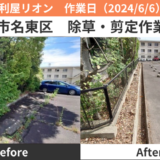 名古屋市名東区除草＆剪定作業実績