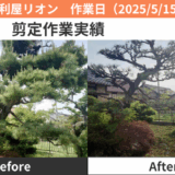 岩倉市除草・剪定作業実績2025/5/15