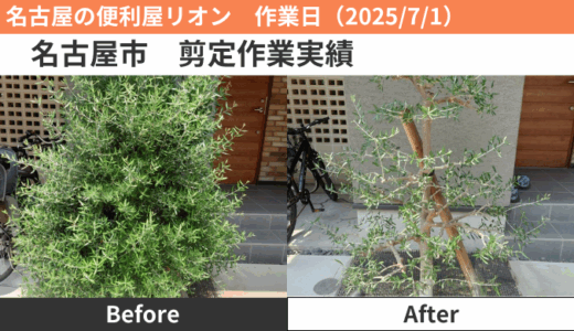名古屋市剪定作業実績（2025/7/1）