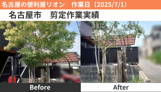名古屋市剪定作業実績（2025/7/1②）
