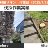 江南市伐採作業実績2025/7/19