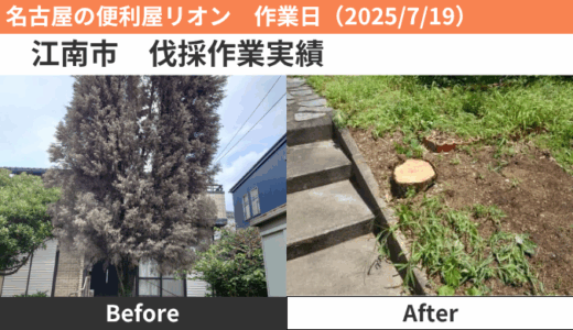 江南市伐採作業実績（2025/7/19）