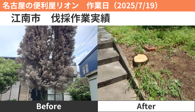 江南市伐採作業実績2025/7/19
