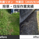 一宮市除草・伐採作業実績2025/9/16