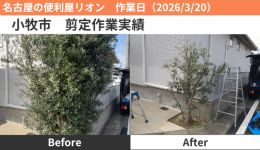 小牧市剪定作業（2026/3/20）