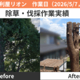 瀬戸市除草・伐採作業実績2026/5/7，8，9