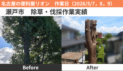 瀬戸市伐採作業（2026/5/7,8,9）