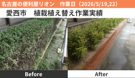 愛西市植栽植え替え作業（2026/5/19,22）