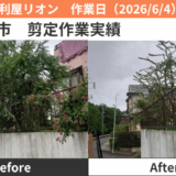 名古屋市剪定作業実績2026/6/4