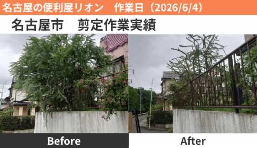 名古屋市　剪定作業実績（2026/6/4）