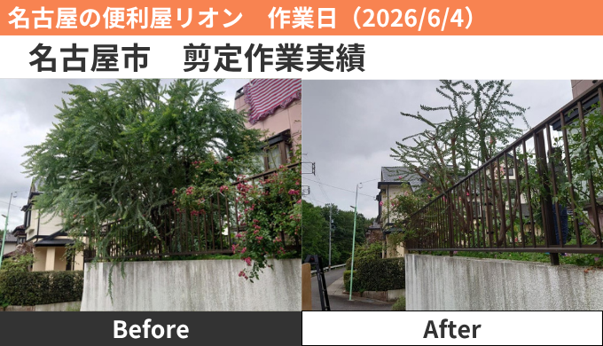 名古屋市剪定作業実績2026/6/4