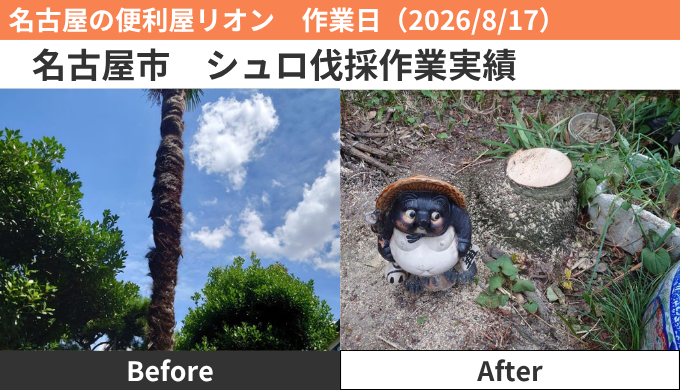 名古屋市シュロ（棕櫚）伐採作業実績2026/8/17