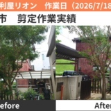 名古屋市剪定作業実績2026/7/18