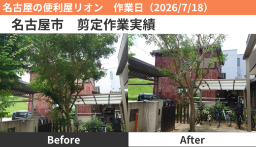 名古屋市剪定作業実績（2026/7/18）
