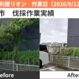 長久手市伐採作業2026/9/12